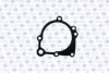 GK 982675 Water Pump